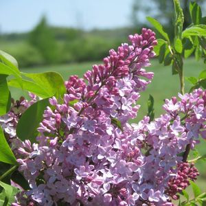 Meet your Posher, Jane